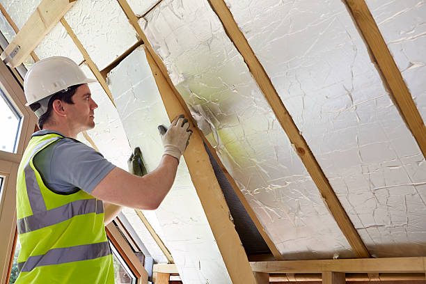 Best Insulation Replacement Services  in Kellogg, ID
